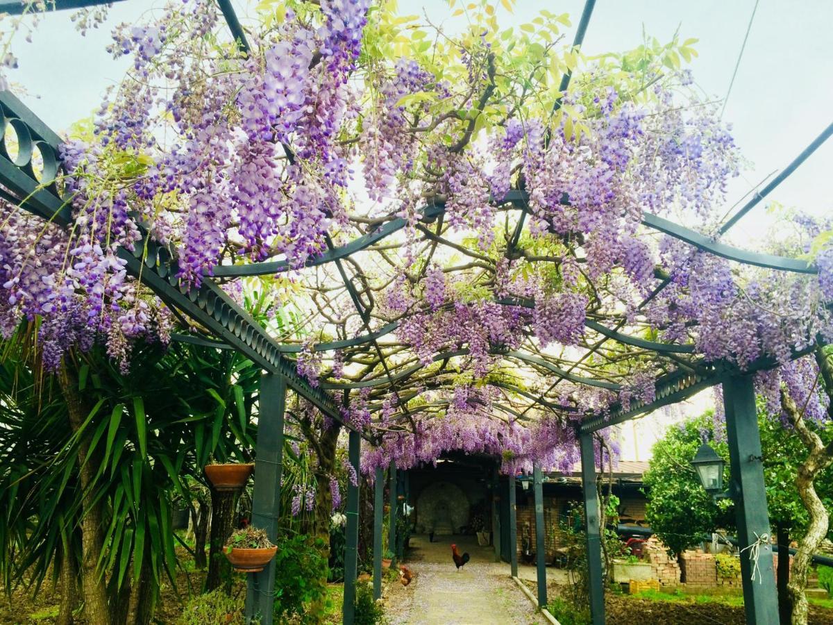 B&B San Paolo Campagna Ngoại thất bức ảnh